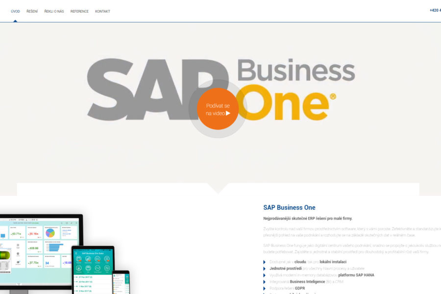Versino SAP Business One